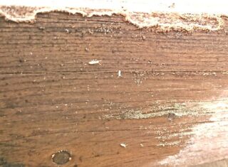 シロアリ薬剤散布が必要